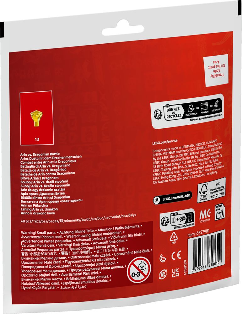 Arin vs. Dragonian Battle LEGO 30700