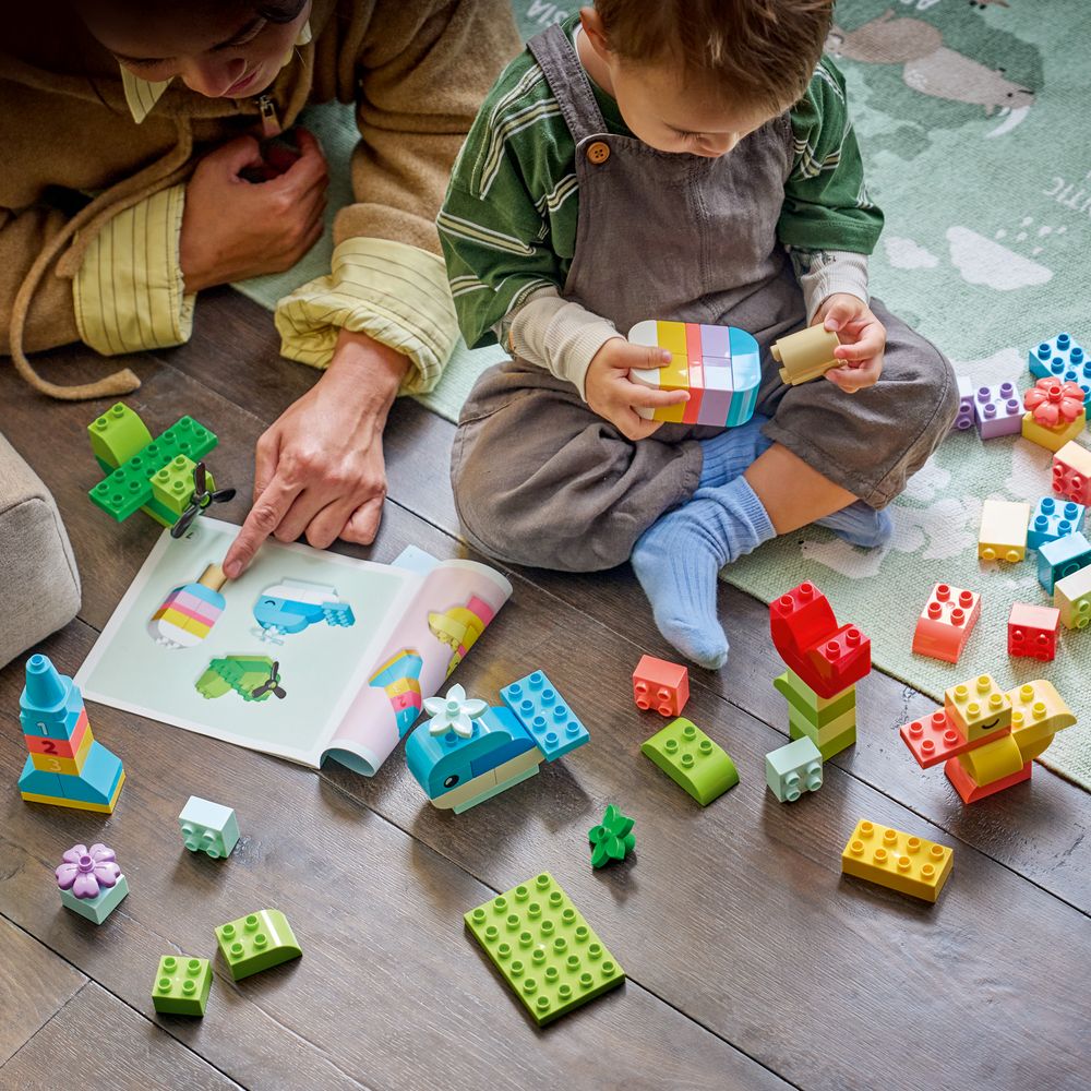 Colorful Creative Box LEGO 10479