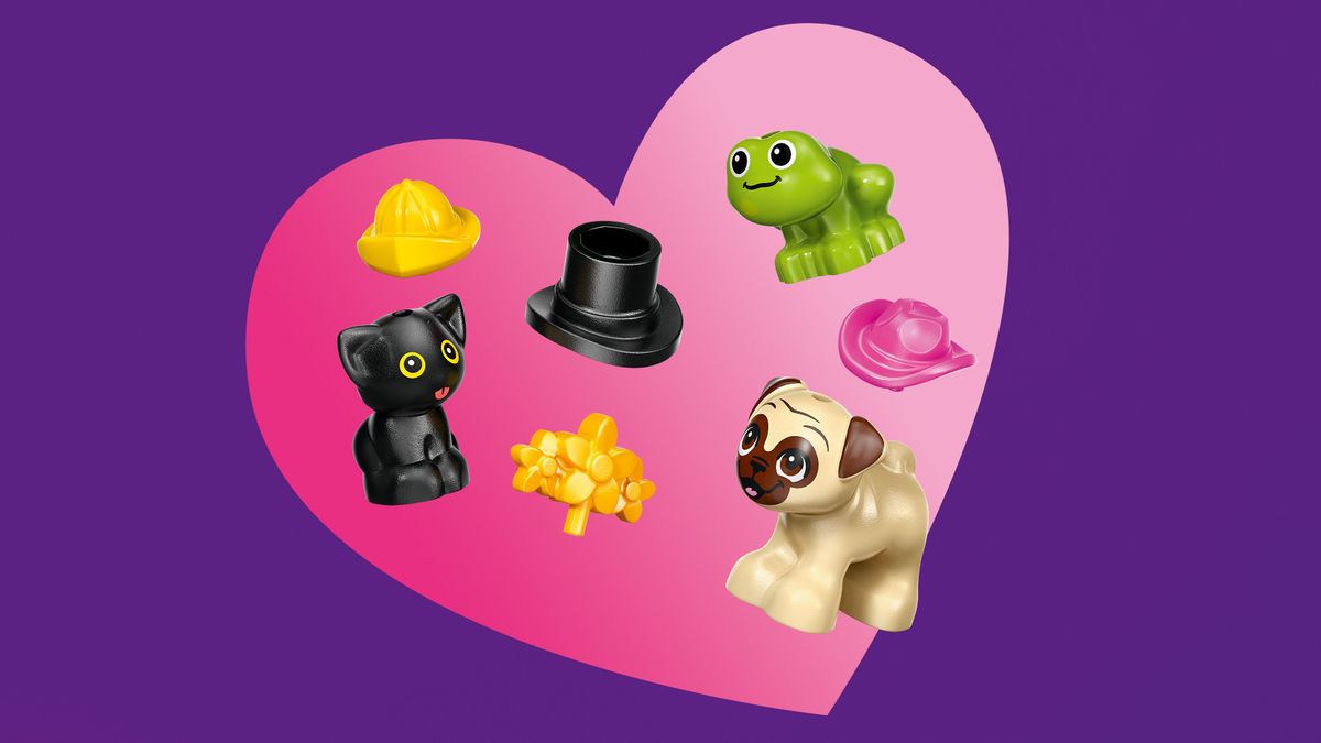 Pet Accessories Van LEGO 42678