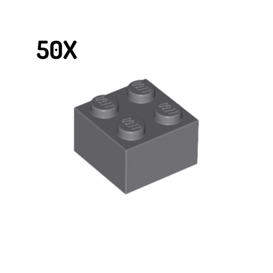 3003 | Brick 2 x 4 50pcs