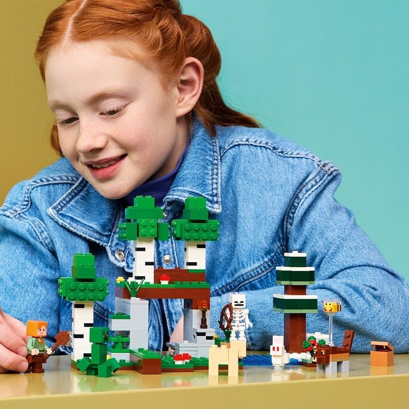 First Night Adventure LEGO 21593