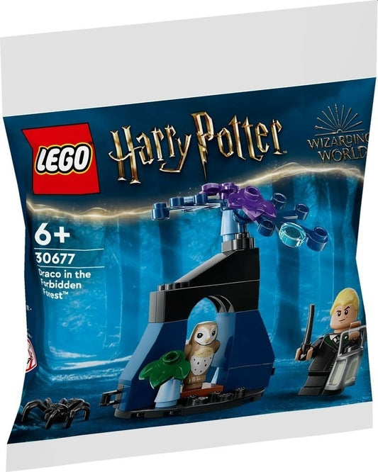 Draco in het verboden bos Lego 30677
